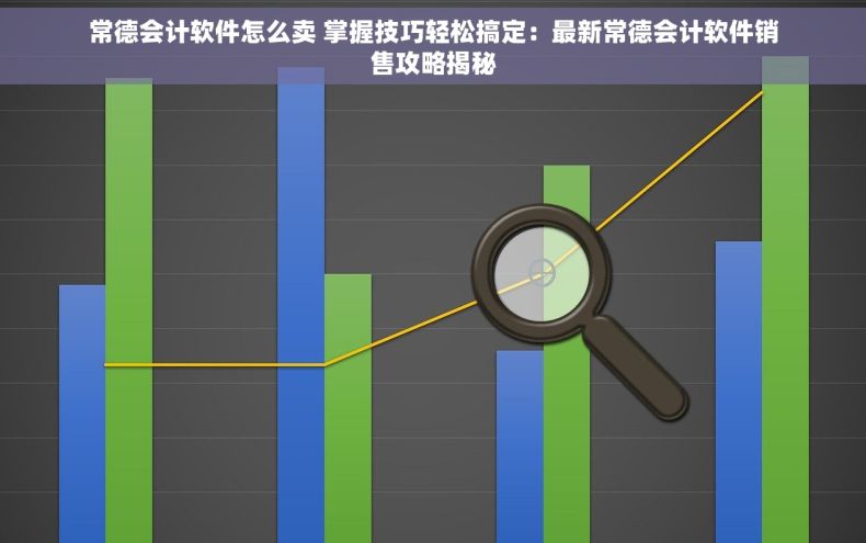常德会计软件怎么卖 掌握技巧轻松搞定：最新常德会计软件销售攻略揭秘
