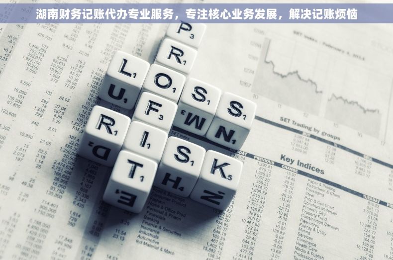 湖南财务记账代办专业服务，专注核心业务发展，解决记账烦恼
