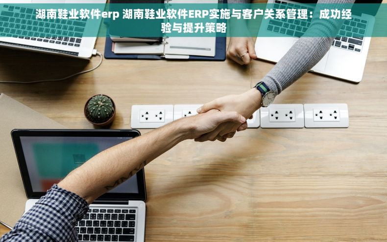 湖南鞋业软件erp 湖南鞋业软件ERP实施与客户关系管理：成功经验与提升策略
