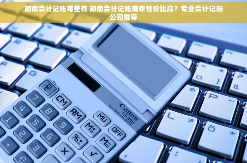 湖南会计记账哪里有 湖南会计记账哪家性价比高？专业会计记账公司推荐