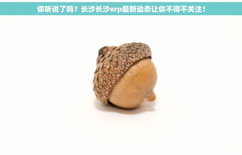 你听说了吗？长沙长沙erp最新动态让你不得不关注！