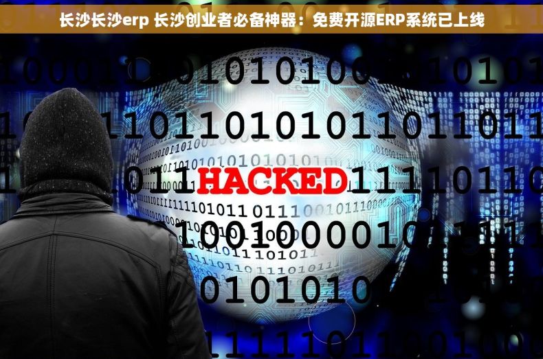 长沙长沙erp 长沙创业者必备神器：免费开源ERP系统已上线