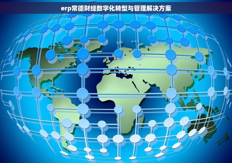 erp常德财经数字化转型与管理解决方案