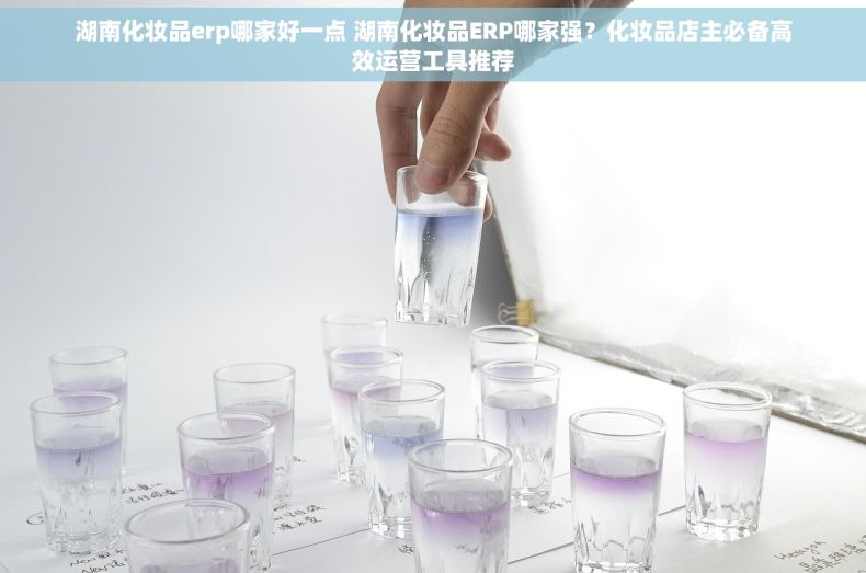 湖南化妆品erp哪家好一点 湖南化妆品ERP哪家强？化妆品店主必备高效运营工具推荐