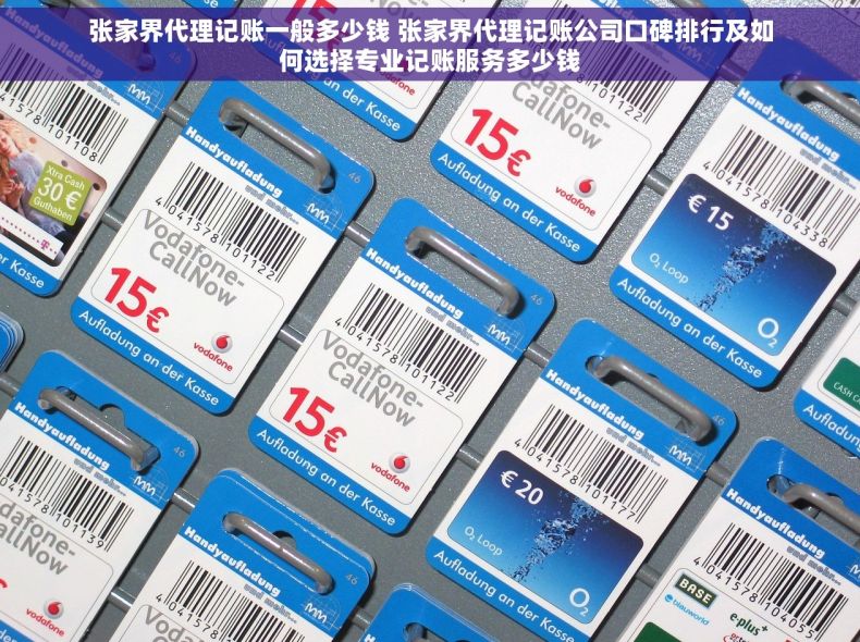 张家界代理记账一般多少钱 张家界代理记账公司口碑排行及如何选择专业记账服务多少钱