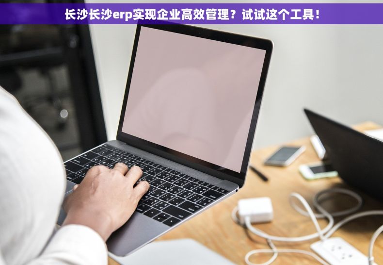 长沙长沙erp实现企业高效管理？试试这个工具！