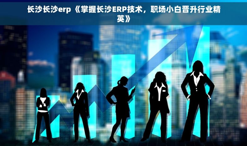 长沙长沙erp 《掌握长沙ERP技术，职场小白晋升行业精英》