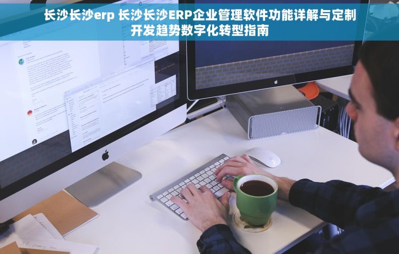 长沙长沙erp 长沙长沙ERP企业管理软件功能详解与定制开发趋势数字化转型指南