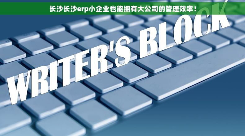 长沙长沙erp小企业也能拥有大公司的管理效率！
