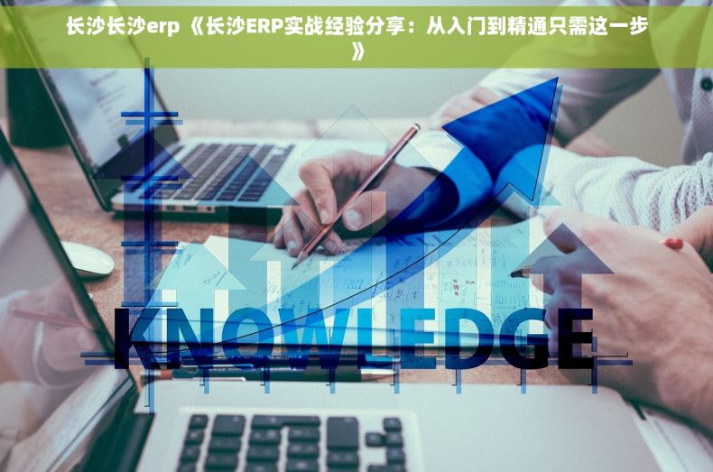 长沙长沙erp 《长沙ERP实战经验分享：从入门到精通只需这一步》