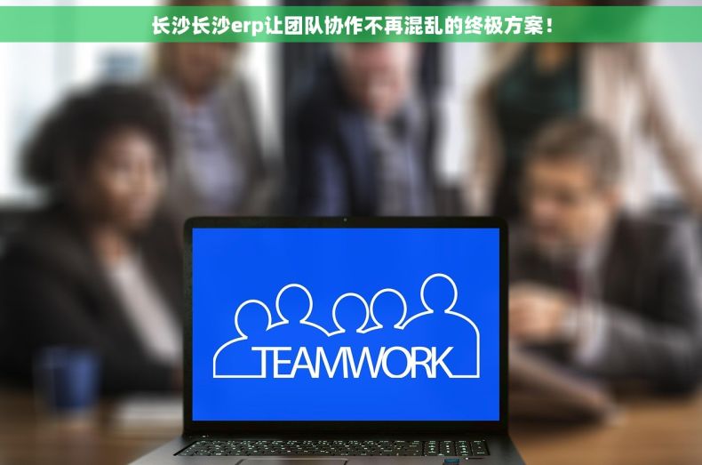长沙长沙erp让团队协作不再混乱的终极方案！