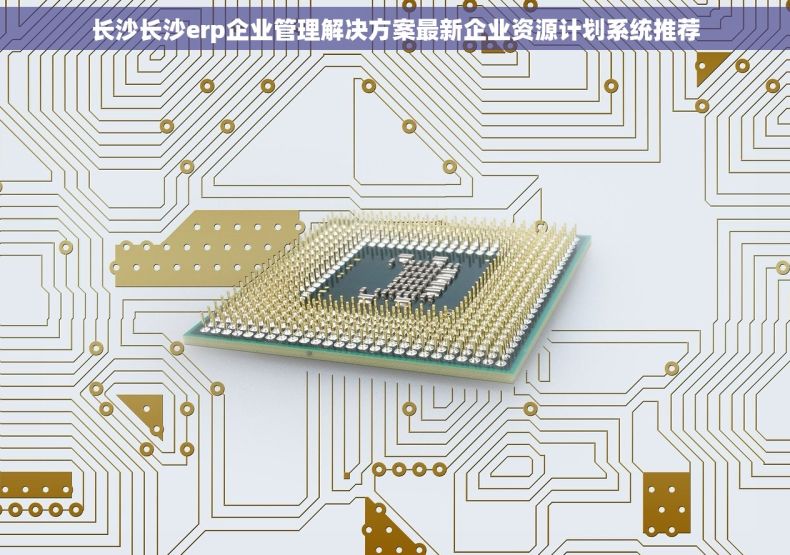 长沙长沙erp企业管理解决方案最新企业资源计划系统推荐