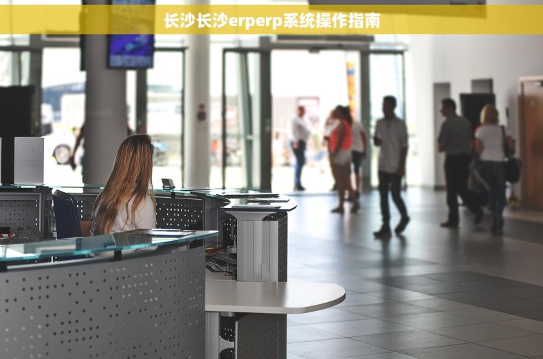 长沙长沙erperp系统操作指南