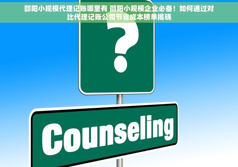 邵阳小规模代理记账哪里有 邵阳小规模企业必备！如何通过对比代理记账公司节省成本榜单揭晓