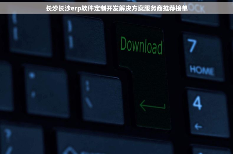 长沙长沙erp软件定制开发解决方案服务商推荐榜单