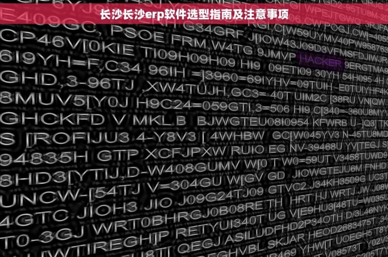 长沙长沙erp软件选型指南及注意事项