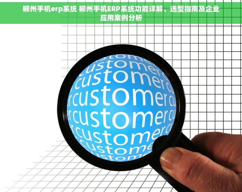郴州手机erp系统 郴州手机ERP系统功能详解、选型指南及企业应用案例分析