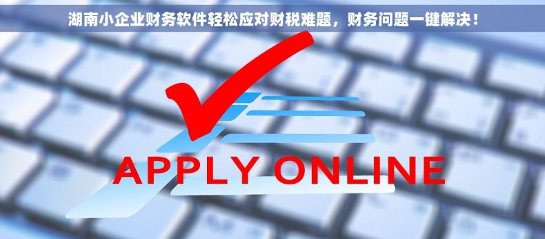 湖南小企业财务软件轻松应对财税难题，财务问题一键解决！