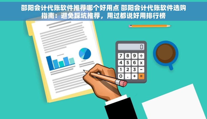 邵阳会计代账软件推荐哪个好用点 邵阳会计代账软件选购指南：避免踩坑推荐，用过都说好用排行榜