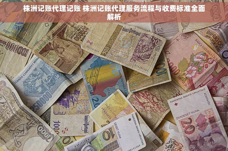 株洲记账代理记账 株洲记账代理服务流程与收费标准全面解析