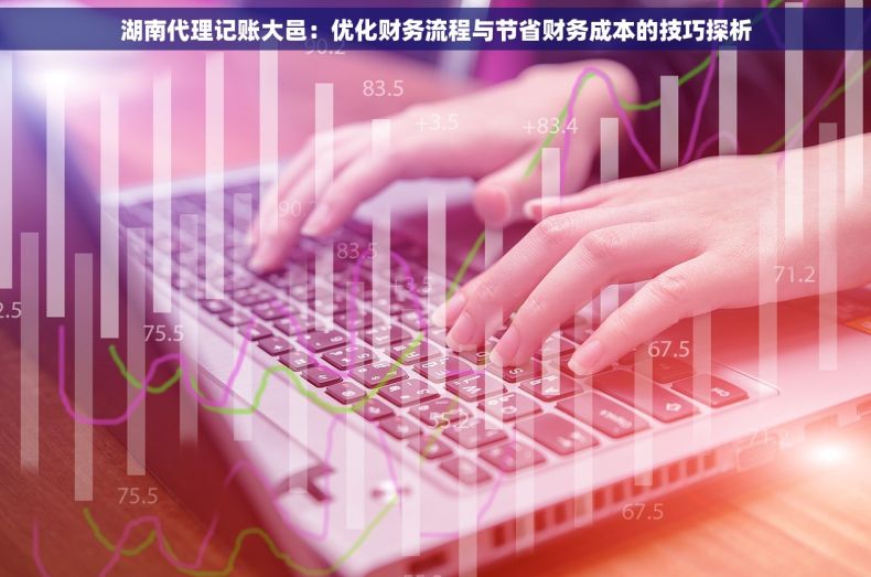 湖南代理记账大邑：优化财务流程与节省财务成本的技巧探析