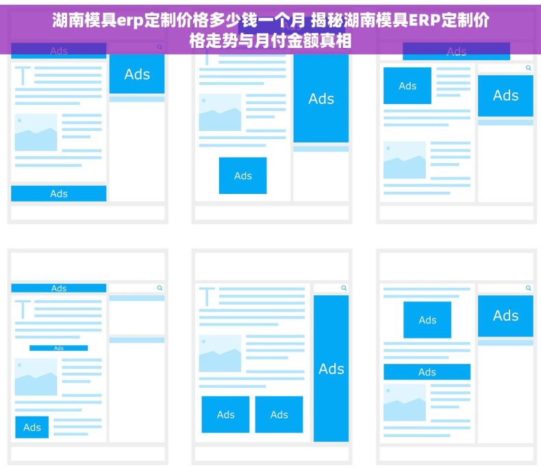湖南模具erp定制价格多少钱一个月 揭秘湖南模具ERP定制价格走势与月付金额真相