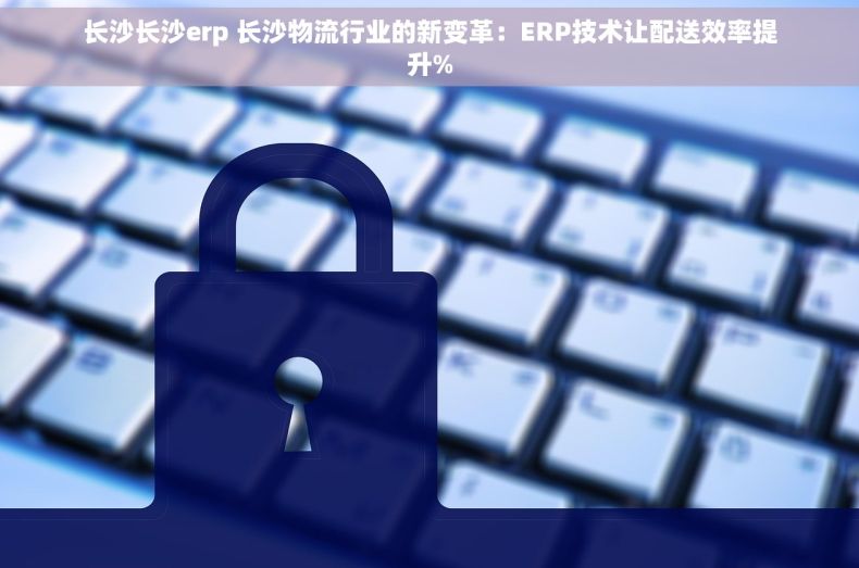 长沙长沙erp 长沙物流行业的新变革：ERP技术让配送效率提升%