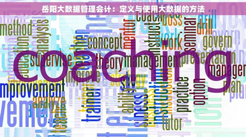 岳阳大数据管理会计：定义与使用大数据的方法