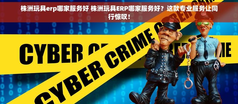 株洲玩具erp哪家服务好 株洲玩具ERP哪家服务好？这款专业服务让同行惊叹！
