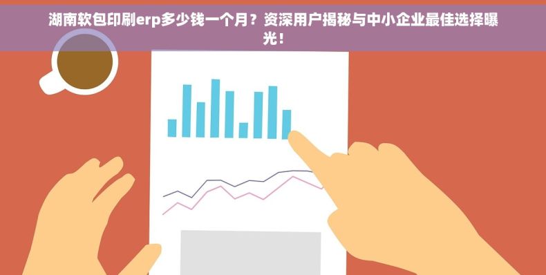湖南软包印刷erp多少钱一个月？资深用户揭秘与中小企业最佳选择曝光！