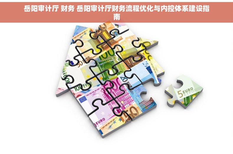 岳阳审计厅 财务 岳阳审计厅财务流程优化与内控体系建设指南