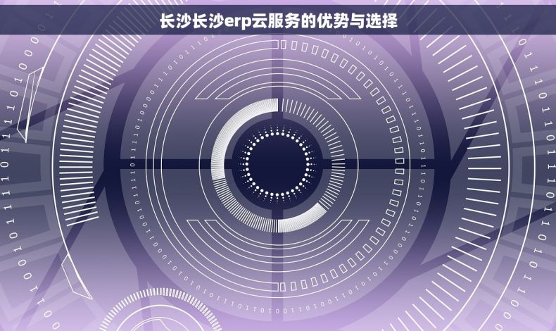长沙长沙erp云服务的优势与选择