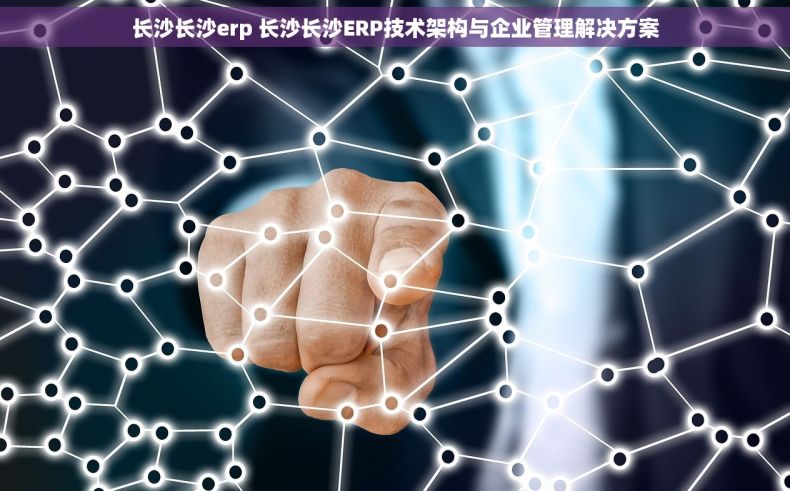 长沙长沙erp 长沙长沙ERP技术架构与企业管理解决方案