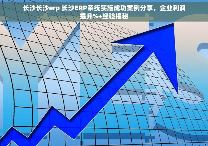长沙长沙erp 长沙ERP系统实施成功案例分享，企业利润提升%+经验揭秘