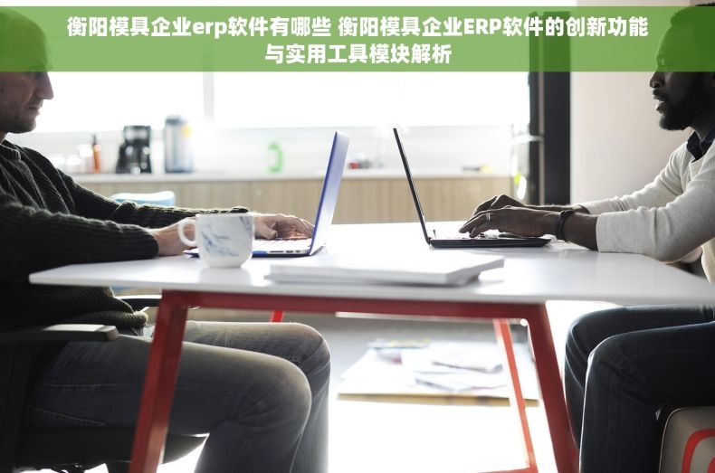 衡阳模具企业erp软件有哪些 衡阳模具企业ERP软件的创新功能与实用工具模块解析