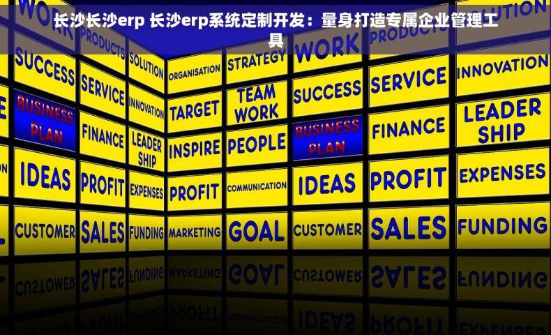 长沙长沙erp 长沙erp系统定制开发：量身打造专属企业管理工具