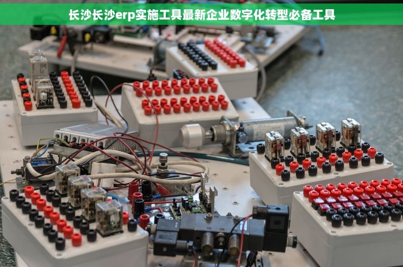 长沙长沙erp实施工具最新企业数字化转型必备工具