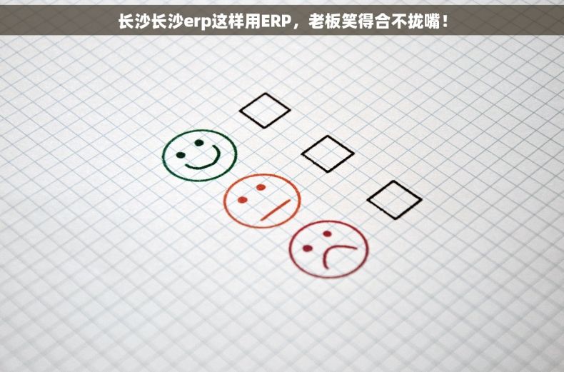 长沙长沙erp这样用ERP，老板笑得合不拢嘴！