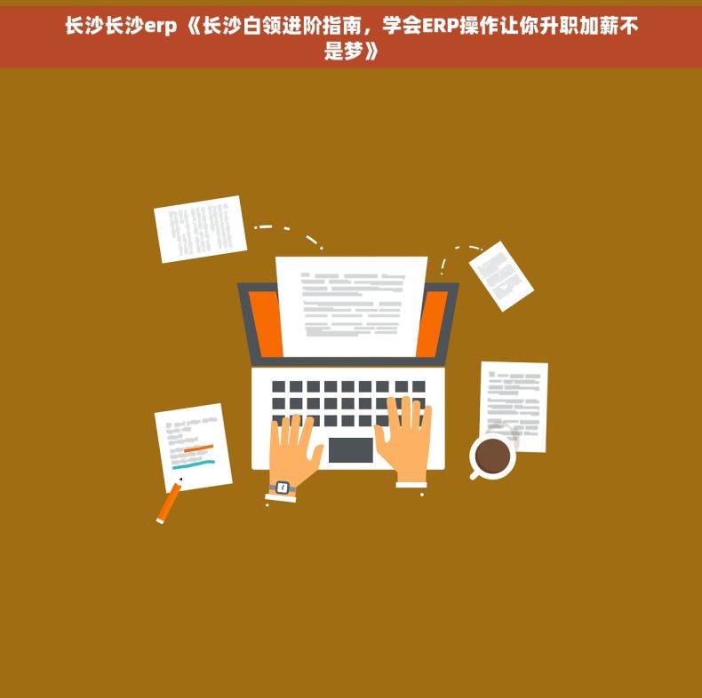 长沙长沙erp 《长沙白领进阶指南，学会ERP操作让你升职加薪不是梦》