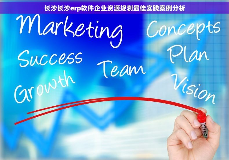 长沙长沙erp软件企业资源规划最佳实践案例分析