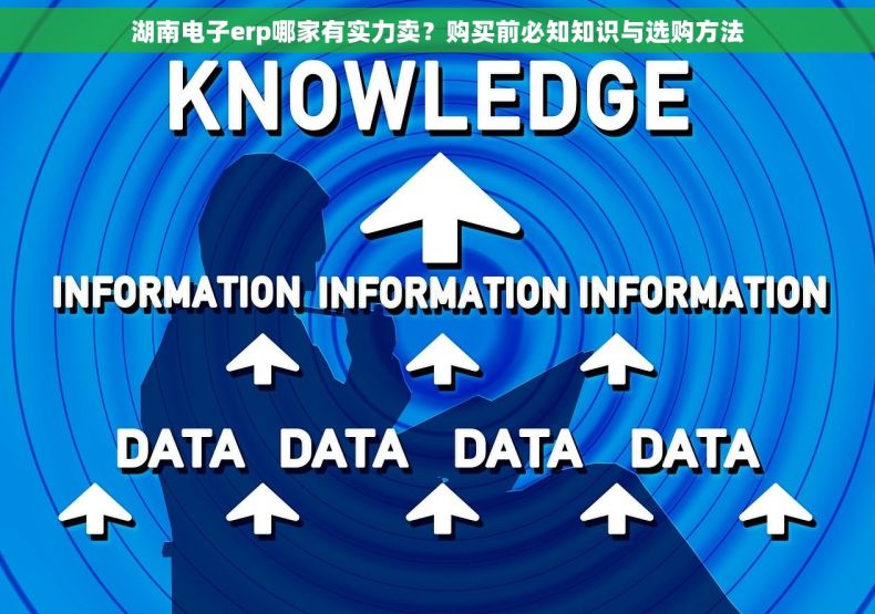 湖南电子erp哪家有实力卖？购买前必知知识与选购方法
