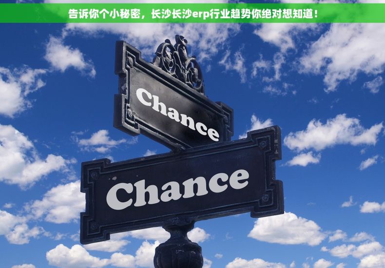 告诉你个小秘密，长沙长沙erp行业趋势你绝对想知道！