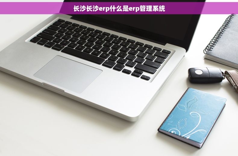 长沙长沙erp什么是erp管理系统