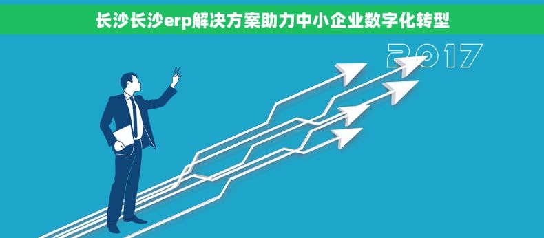长沙长沙erp解决方案助力中小企业数字化转型