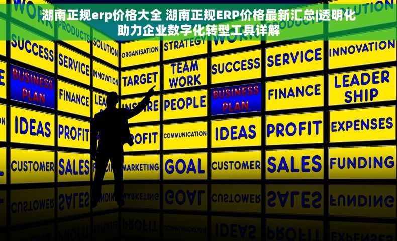 湖南正规erp价格大全 湖南正规ERP价格最新汇总|透明化助力企业数字化转型工具详解