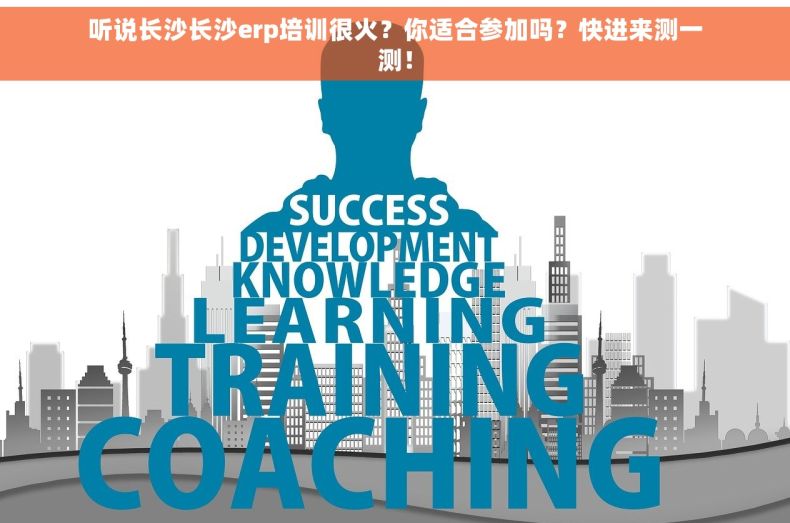 听说长沙长沙erp培训很火？你适合参加吗？快进来测一测！