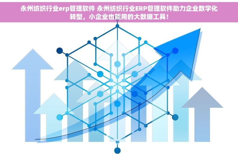 永州纺织行业erp管理软件 永州纺织行业ERP管理软件助力企业数字化转型，小企业也能用的大数据工具！