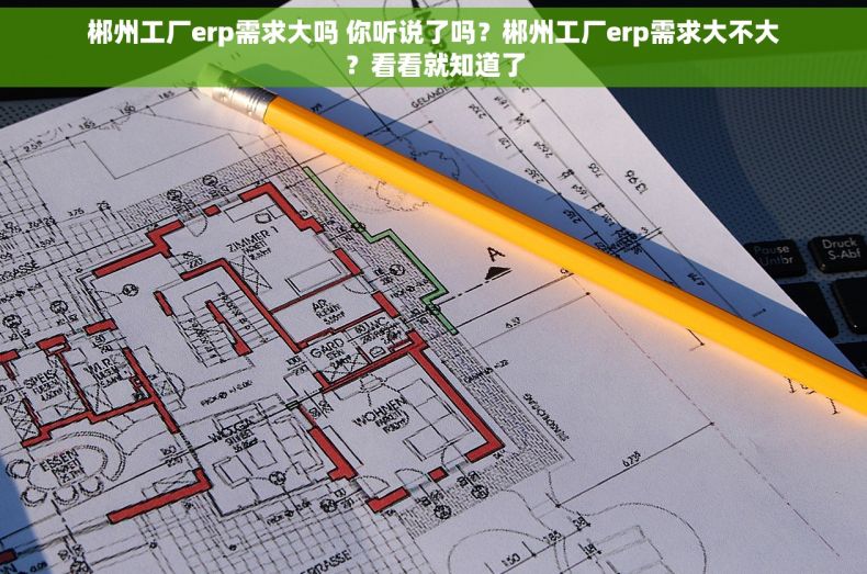 郴州工厂erp需求大吗 你听说了吗？郴州工厂erp需求大不大？看看就知道了