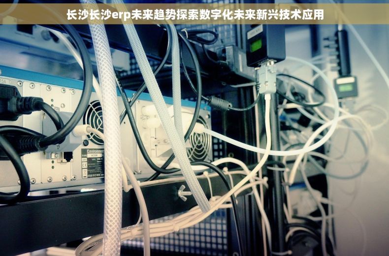 长沙长沙erp未来趋势探索数字化未来新兴技术应用