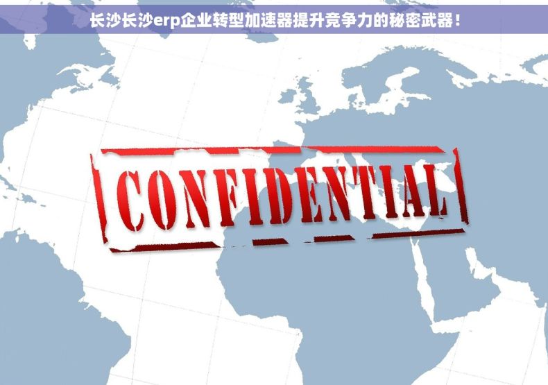 长沙长沙erp企业转型加速器提升竞争力的秘密武器！